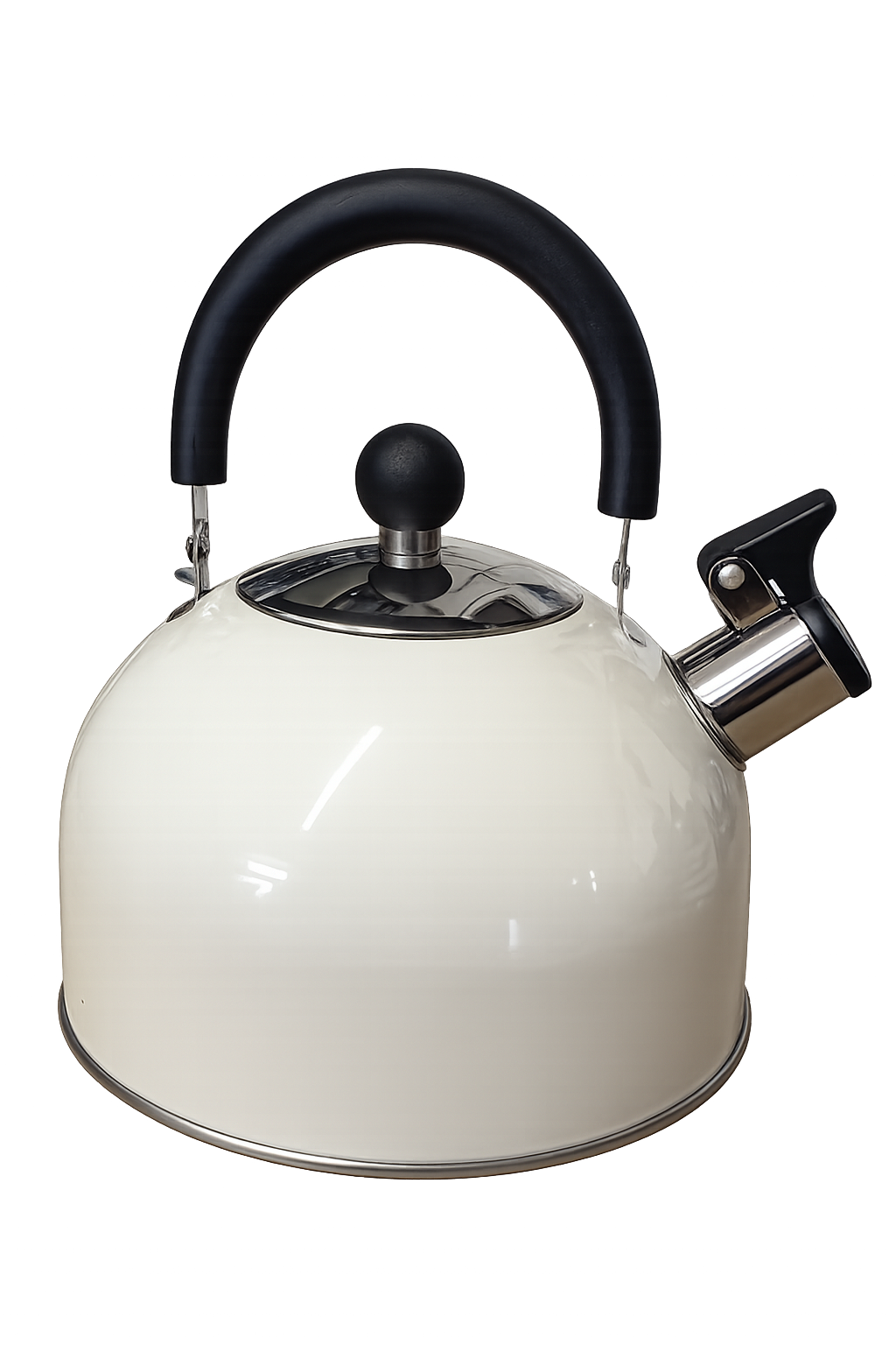 Stainless Whistling Kettle - 2.5L - White