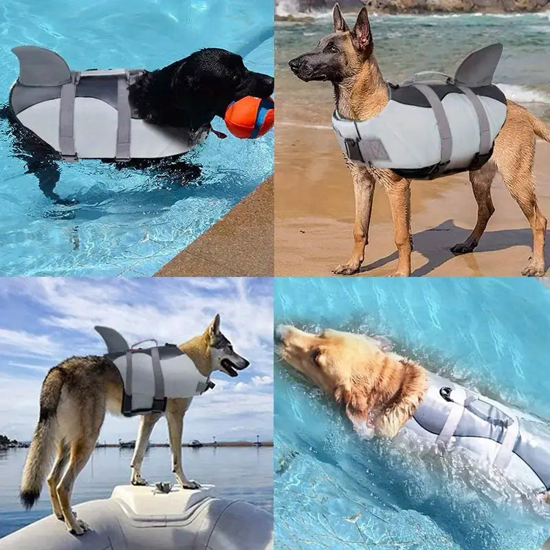 Dog Lifejacket - Shark