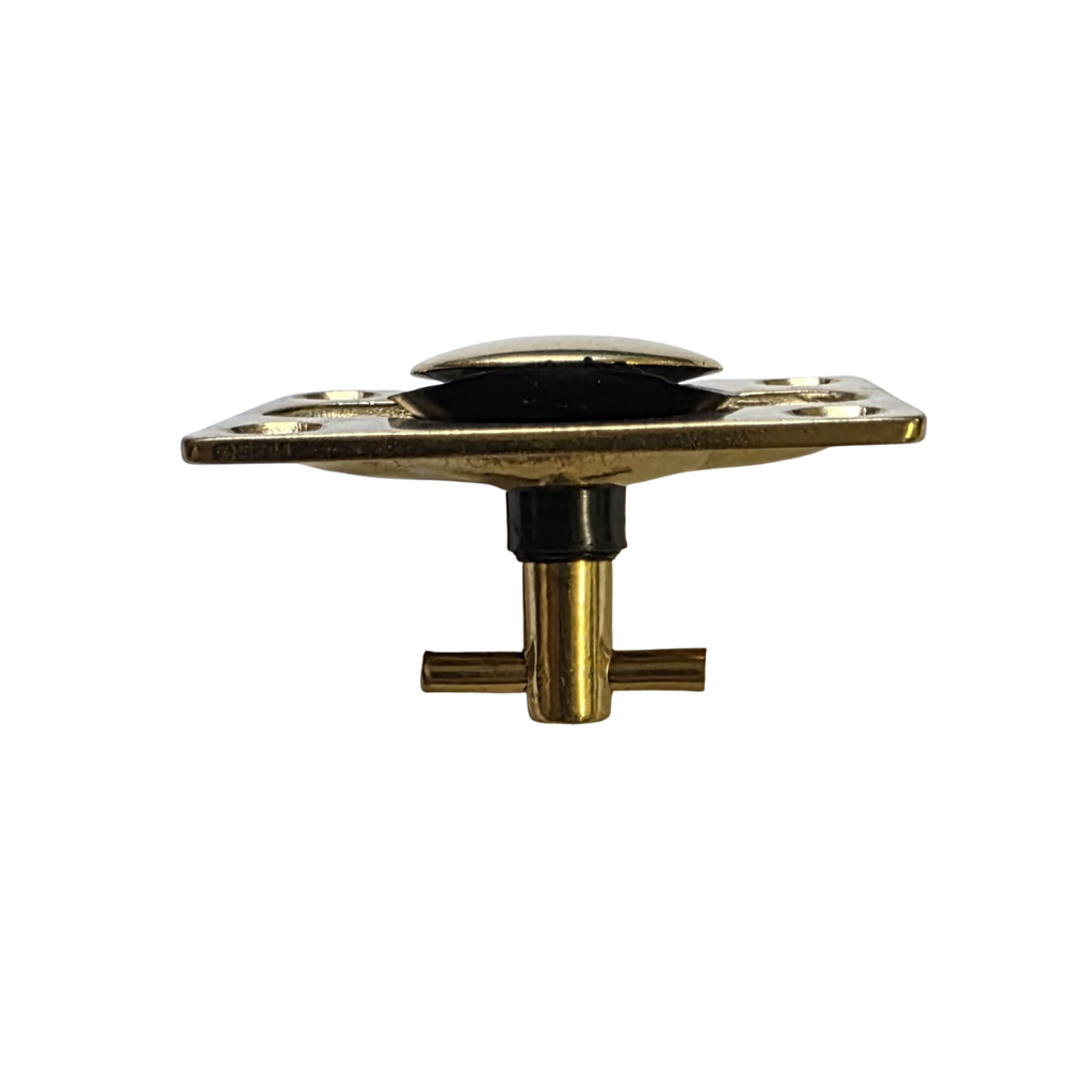 Brass Lifting Ring- Plug (2.5" x 1.78")