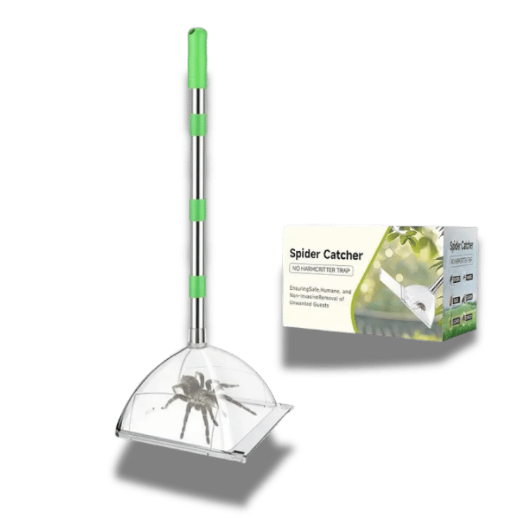 Heavy Duty Spider Catcher with Long Handle