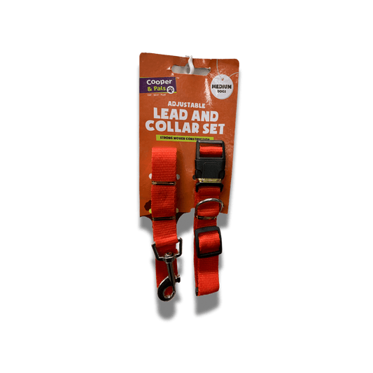 Cooper & Pals Dog Lead and Collar Set - For Medium Dogs