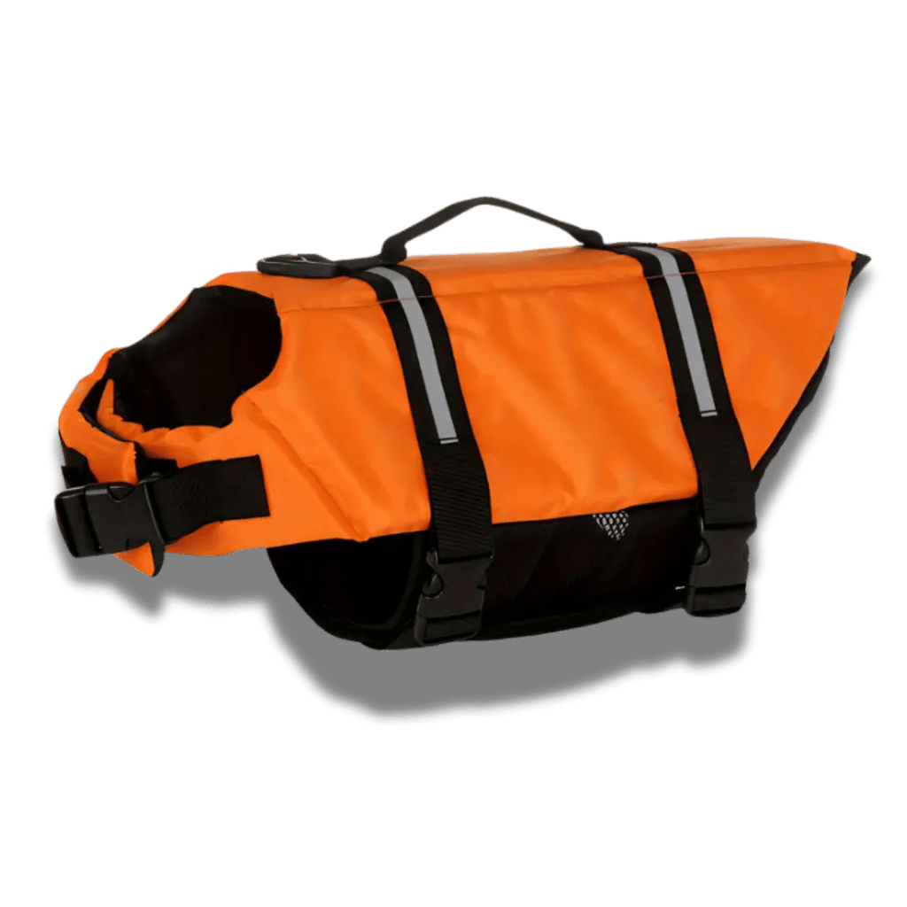 Dog Lifejacket - Essential Safety