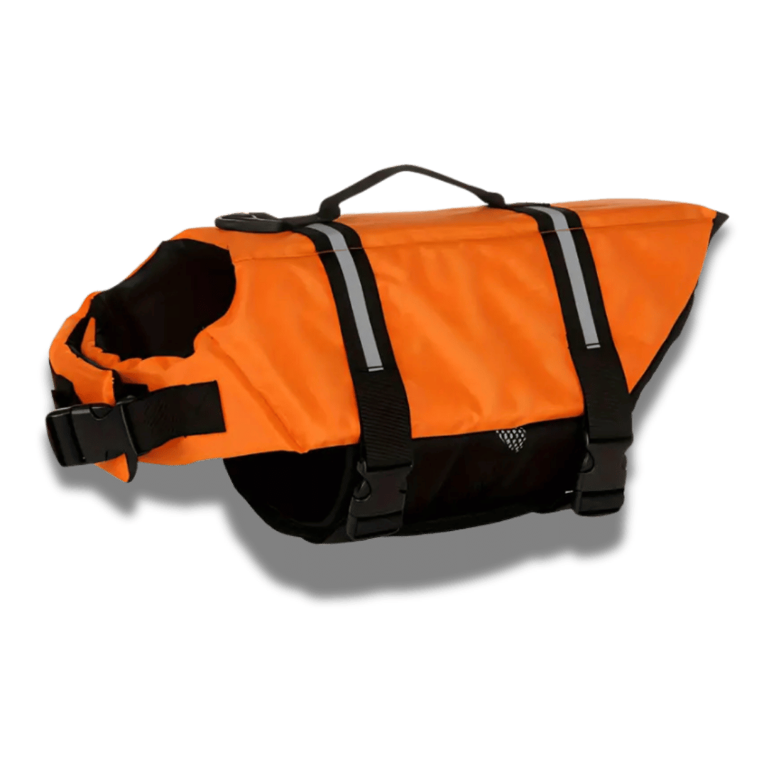 Dog Lifejacket - Essential Safety