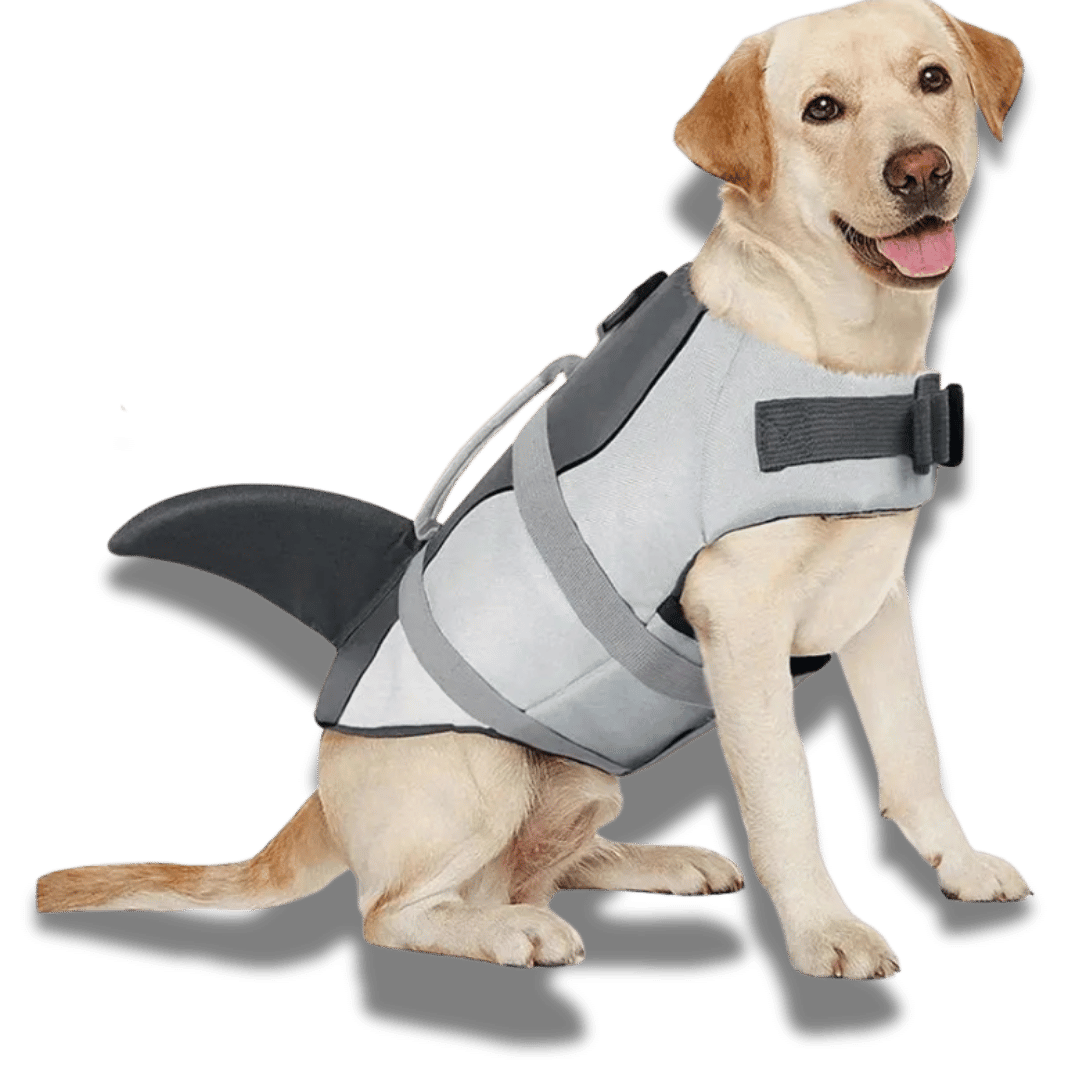 Dog Lifejacket - Shark