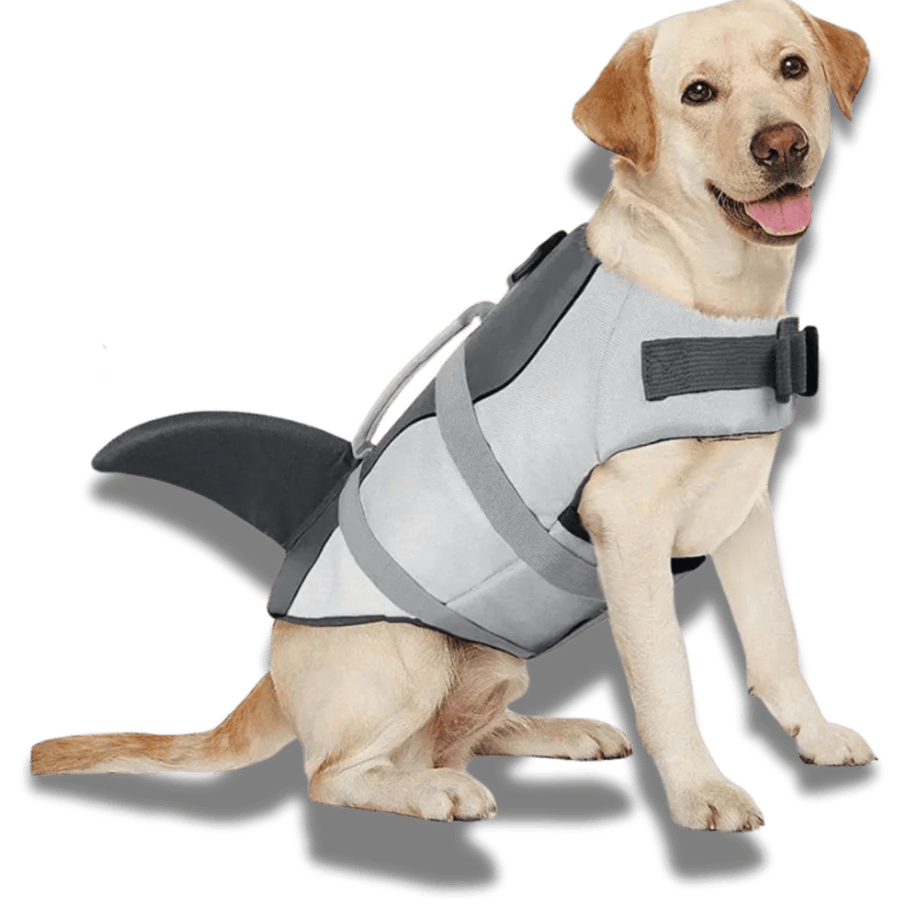Dog Lifejacket - Shark