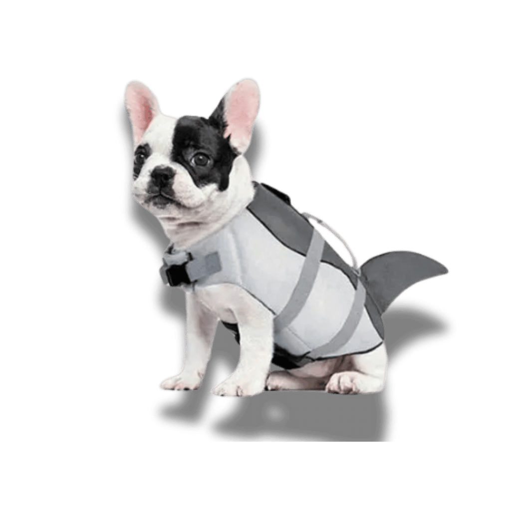 Dog Lifejacket - Shark
