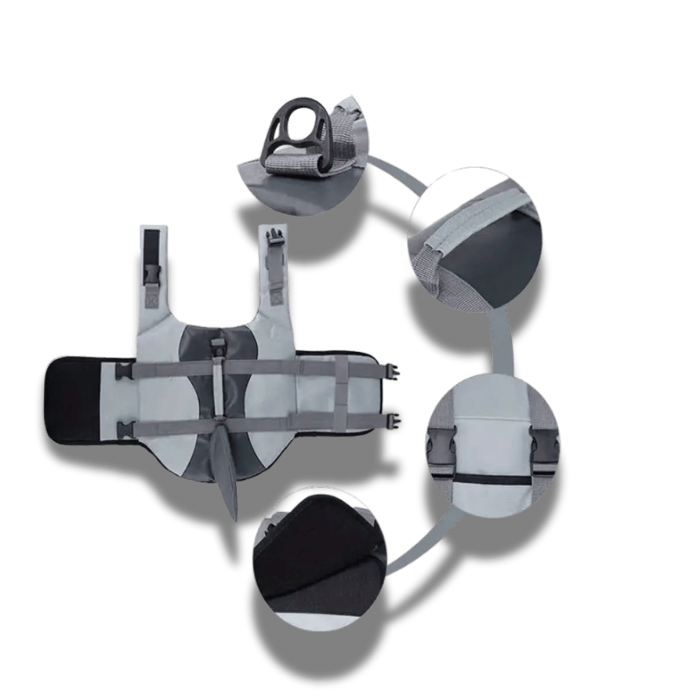 Dog Lifejacket - Shark