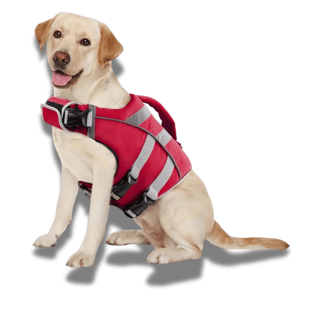 Dog Lifejacket - Premium Safety
