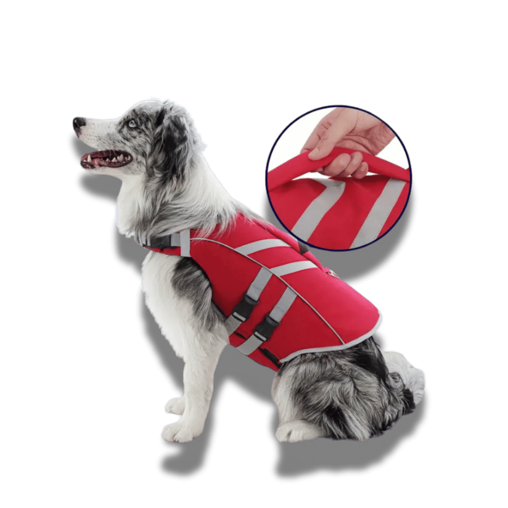 Dog Lifejacket - Premium Safety