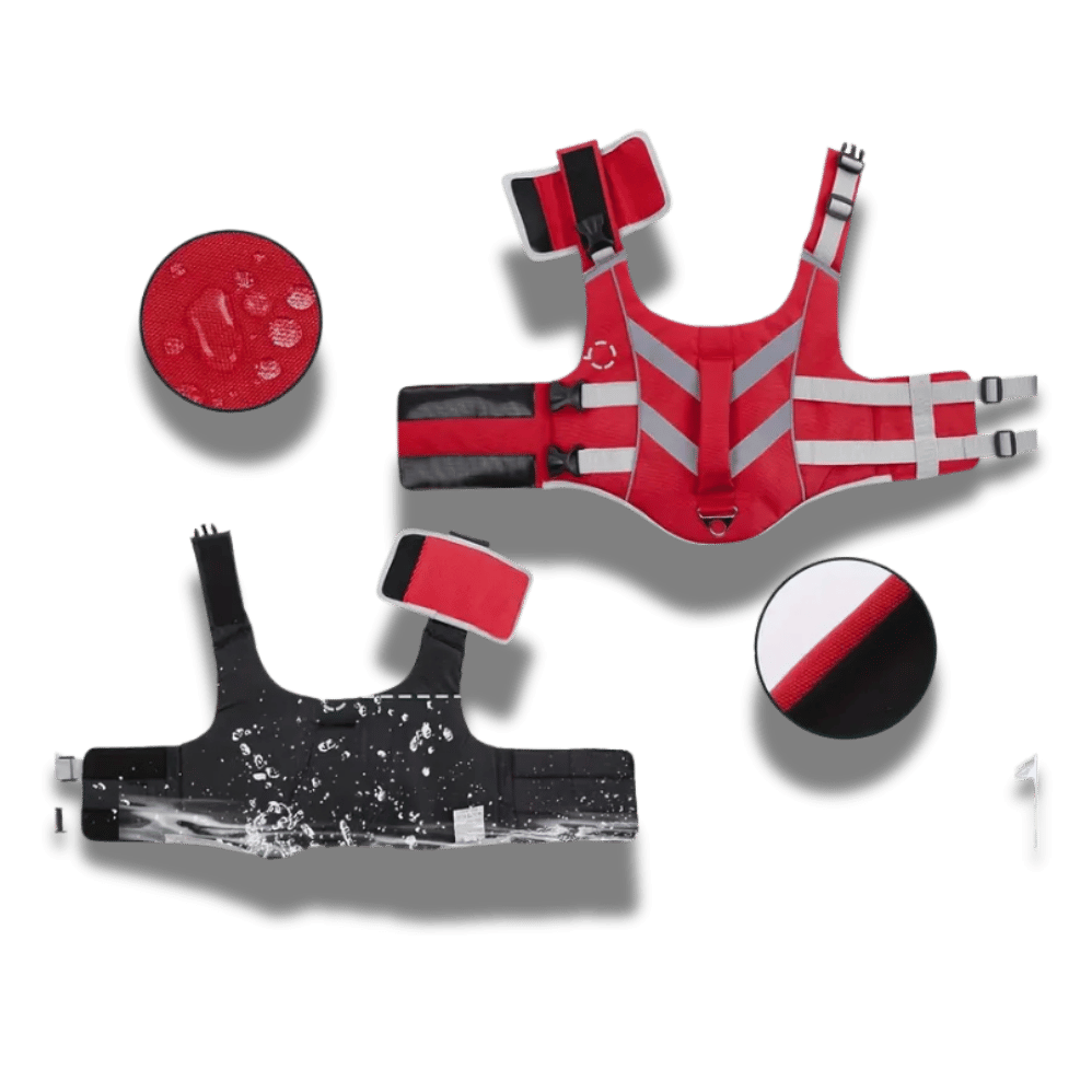 Dog Lifejacket - Premium Safety