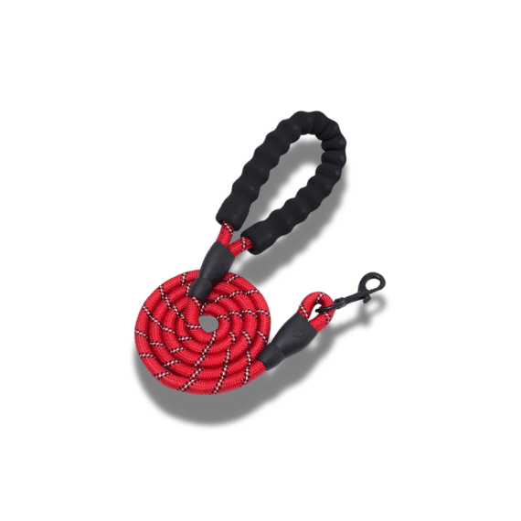 Reflective Dog Lead - Red, 3 Meters