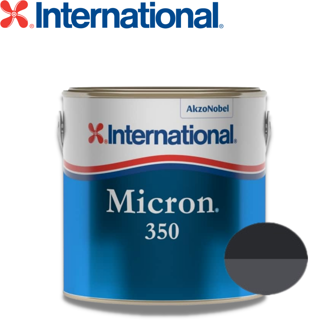 Micron 350